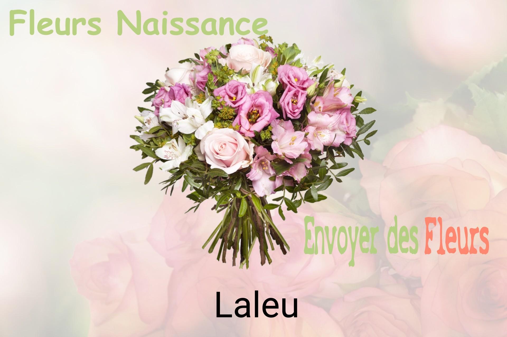 Bouquet de fleurs de naissance livré à Laleu